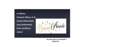Voeux du Maire