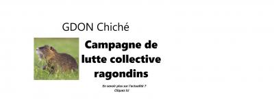 GDON CHICHE