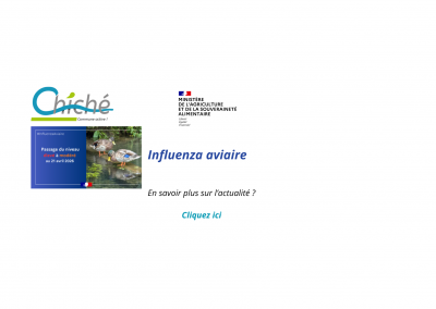 Information Mairie - Influenza aviaire